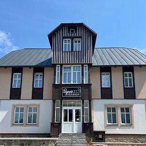 Synek Pension